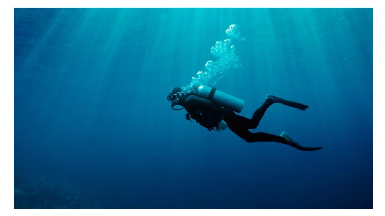 The Significance of VAT A Deep Dive into Its Implications for Your Business